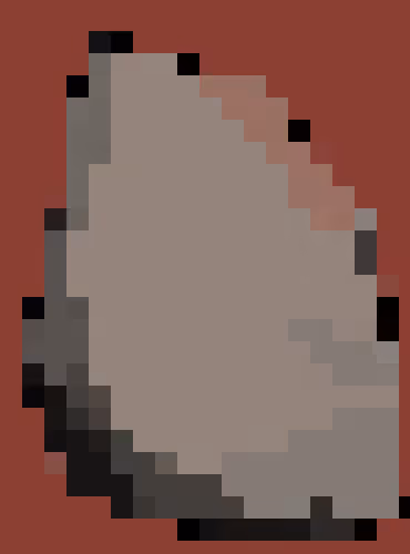 50562066366535347730974782779145061136208370831325416857454343851014233260033