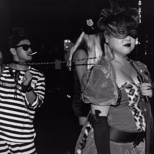 16950785542808756610481714787448321697642502710226455234528331967375882584065