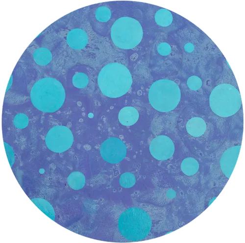 Item #73426756528555597329506357807672761310391868450501178698656905006481437360129 Media