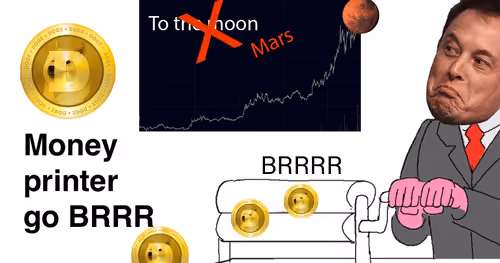 ElonPamp