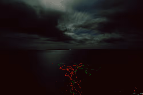 Asparaguscat75 Collection