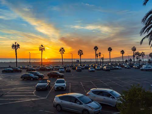 Item #62617397375757312297803897609954755559227699621957103885912270290103369203713 Media