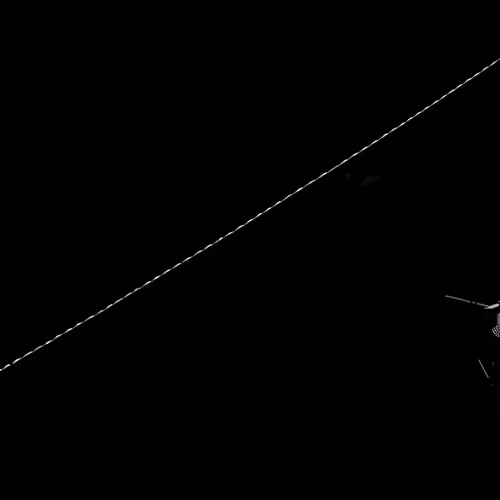 shrnkld Collection - old