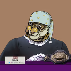 78876315243766497217538002994325685574972374530862798970977006067633763647489
