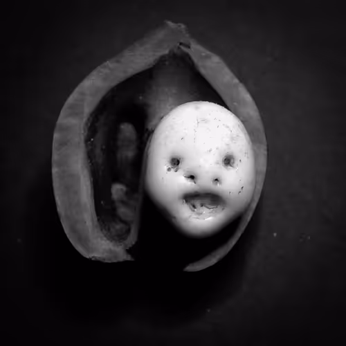 Item #81941951860752634106901471197417024290092758316206591328720189750519567220737 Media