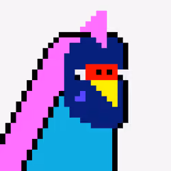 Budgie #160