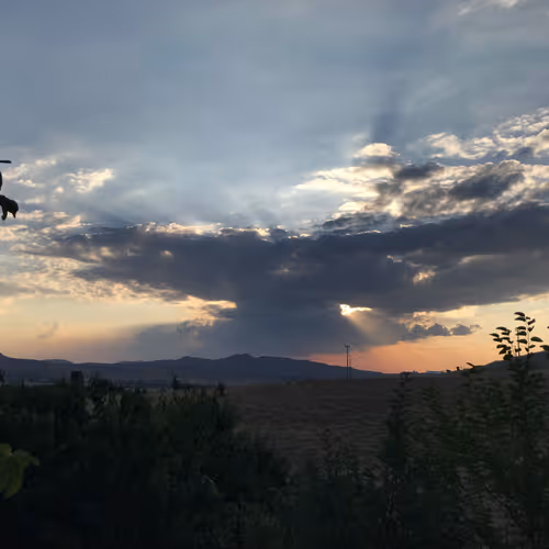 Nature 778