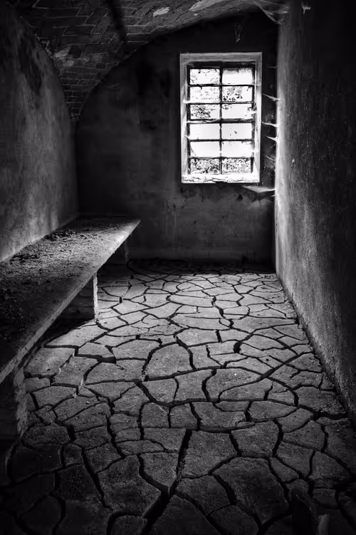 Item #6505089431552554568137386774614394979265528746054988378978093603894474047489 Media