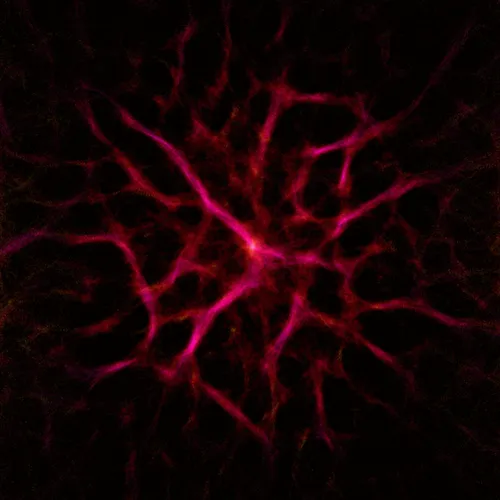 Item #51929734946411346289540790635765095060363125039145709683616697292597147729921 Media