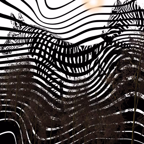 Item #68234879041131190799370661978506854880467220543129651226848936619632561750017 Media