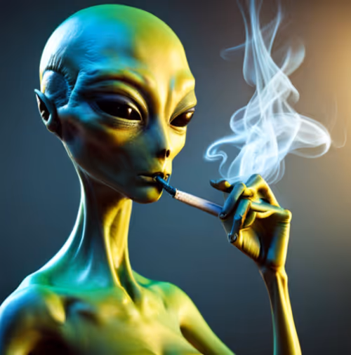 Item #56749187380155159117476042494432968246827571843948607036636584278822049808385 Media