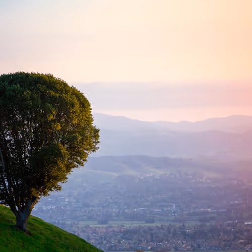Soaring Over Sonoma