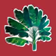 78727989162365357491664281842855683455202351371488163700085074542027186634753