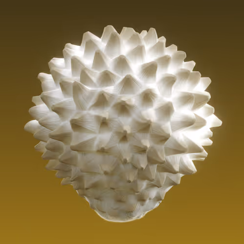 Item #95653877050150474555742155054455970472164202465768371638498214025062137200641 Media