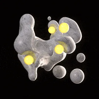 52679684473696764386194109071339609087464236231573178441178871338312451227649