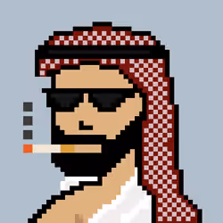 16096380372809226719538393447110584826767793811298259195768309334396112994305