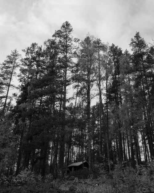 Item #18954319577998353253004349825961940133867291761371826571185822549530101415937 Media