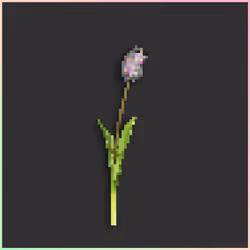 Speckled Gray Cosmic Tulip #10