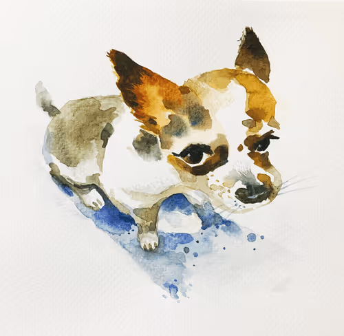 Water colour Dog