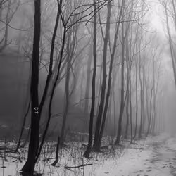 40160686583094733528677484039903516258611509642019211679321071492454561087489