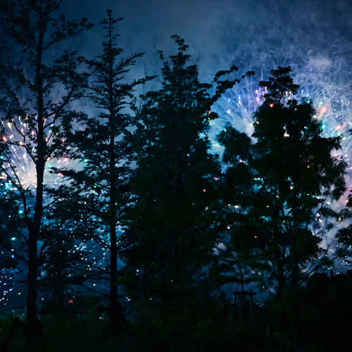 edenlamp Collection - old