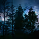 edenlamp Collection - old