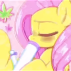 stoner pony 