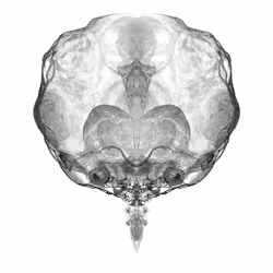Alien Embryo - 145 of 2000