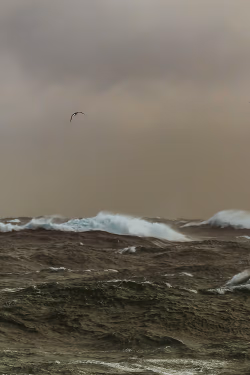 Item #9401445363475959616826929925346071850130199423047290682338619267304835252225 Media