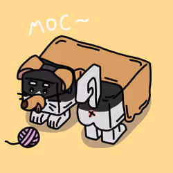Cat Ass #6