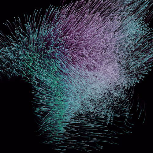 Item #112371039172535416737738199816793879225976991536791396385715131506219735318529 Media