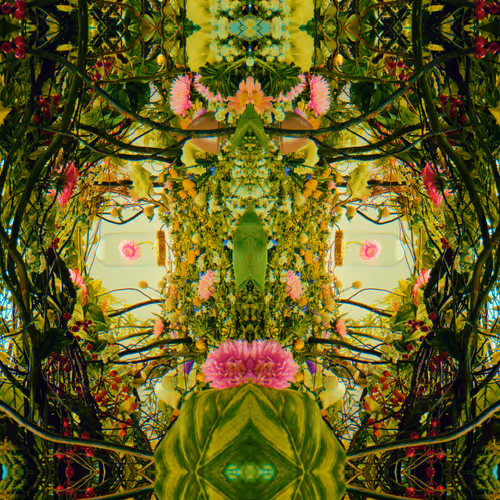 54411499690937640101772425138653578544162397958311670010148906862080121896961