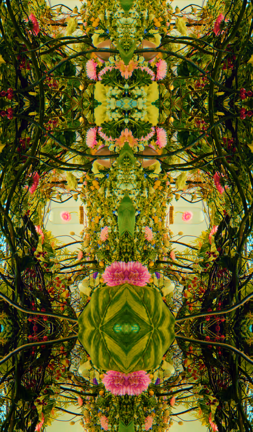 Item #54411499690937640101772425138653578544162397958311670010148906862080121896961 Media