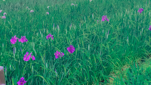 Item #26309083901545567454709889211670292098627789932924015051489478933886657363973 Media