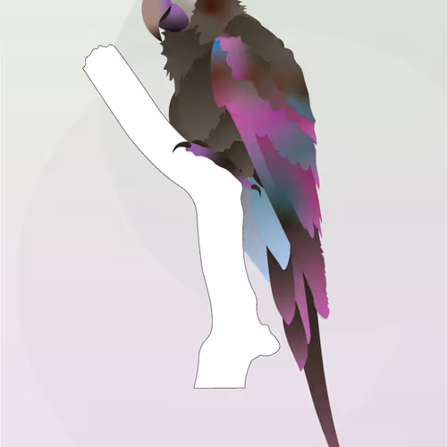Vector Birds