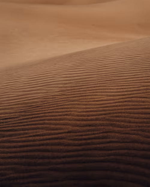 Item #4015407752300364533452678747912321307133041258187258919128982383273523019777 Media