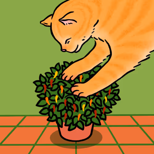 100546326840938006351179611880488389822132399347808687645215853895343537127425