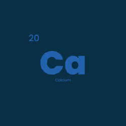 12332245684065198764694527978536122317407596672492401615866658091256615272449