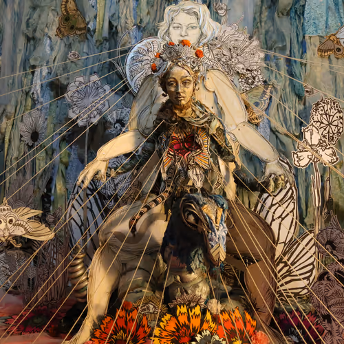 Cicada And Tymbal Solo Exhibition