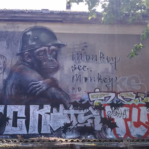 Global Graff