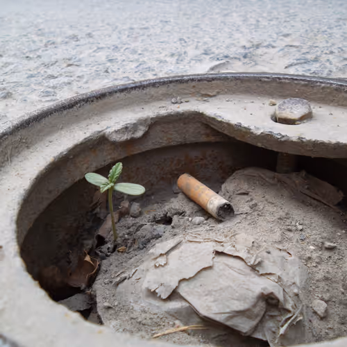 100261288275081771993862630263296109303805251661134884589845414377176105484335