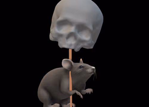 Item #34824153300689208975519452713657227889438642962256039476977672023844212178945 Media