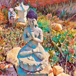 BUDDHA 