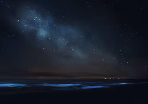 Item #40623892985162579680013368776794543656171628179746126524485394713868805079041 Media