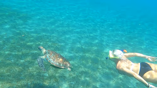 Item #57636846716625674083637003599082399011400728335992986804098864718684482437121 Media