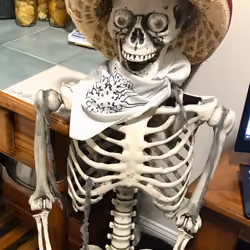 fun with skeletons #6