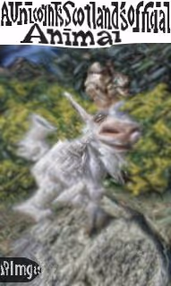 Item #114867966952439841075387029915499308947065709249046462300404940671464111079425 Media