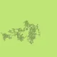 92055628697049432022370219955256261220910988073026627681244357122416520986625