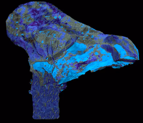 Item #18063966590187803564983313972252836895288362682890717819958697148299859722241 Media