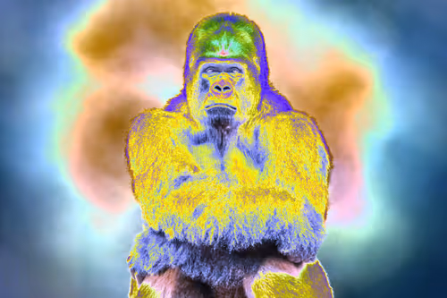 Item #37771705042607633984215485442696248406020579018981637919666644992518306922497 Media